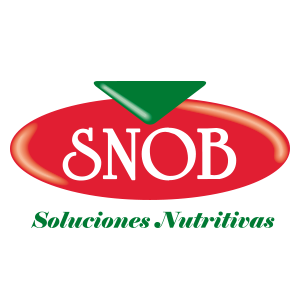 Snob
